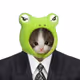 gdfhfgh