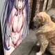 BOOBASED