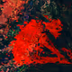 Evolving Glitches