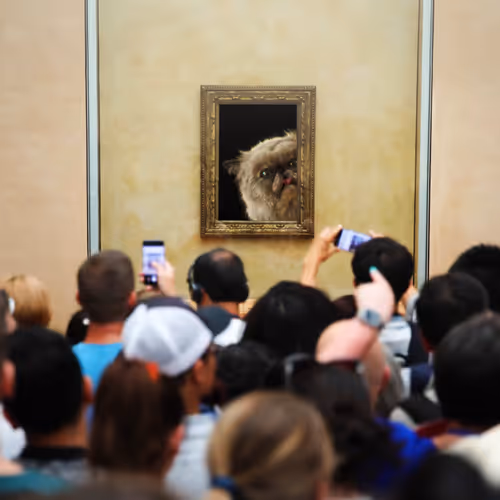 Mr Miggles at Louvre