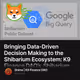 Bringing Data-Driven Decision Making to the Shibarium Ecosystem: K9 Finance DAO’s Shibariu