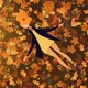 Enjoy autumn onchain