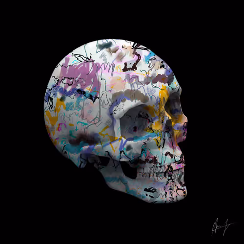 SKULLS BY PIERRE