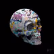 SKULLS BY PIERRE