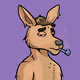 Kangfers