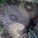 sun web