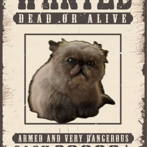 WANTED MISTER MIGGLES