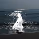 Zora Posts