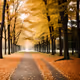 4 seasons