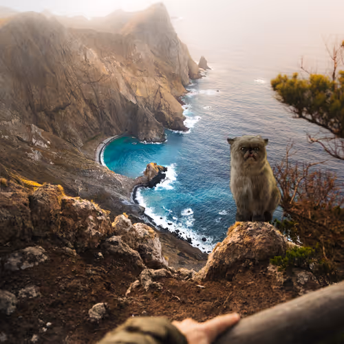 Mister Miggles in Madeira Island