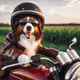 bikers