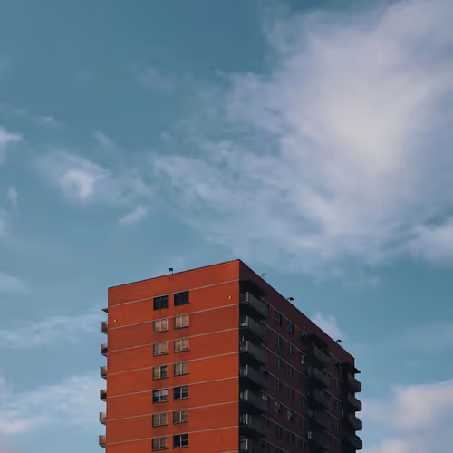 Velvet Cosmic Raiders