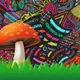 Magic Shroom 🍄