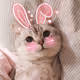 Cute