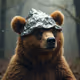 CryptoBear