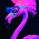 flamingo