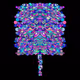 Arboreal Abstractions