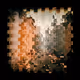 Distorted Cityscapes