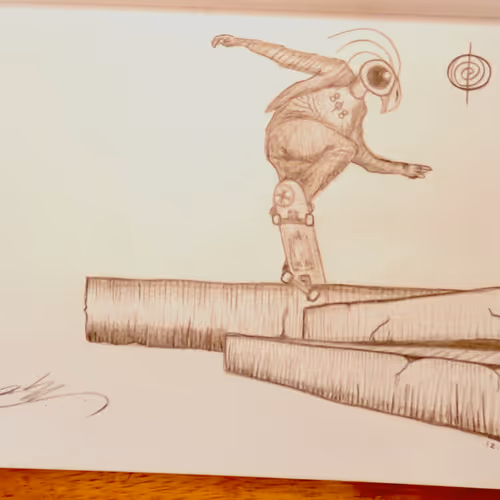 BB Skatebird Krooked