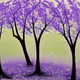 purple trees