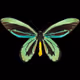 Insect on Base