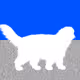Miggles Crypto Flag