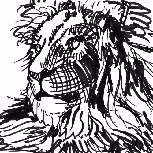 Lion Line Art