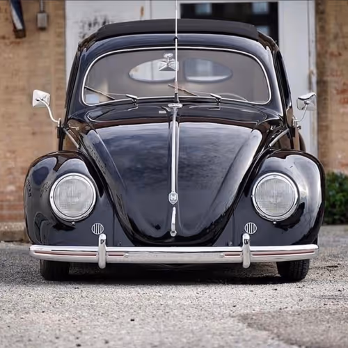 VW Bugs