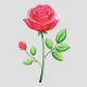 rose's