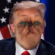 Mister Migramp