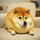 douch potato
