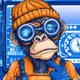 Ape Basex
