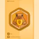 Innovation Champion
