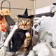 River’s Halloween