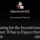 Preparing for the Incentivized Testnet: What to Expect from the Next Phase of MammothOS