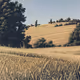 vintage - base