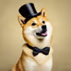 Sir Woofington the Dapper