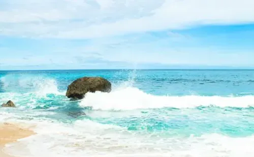 Onchain Summer never STOP!