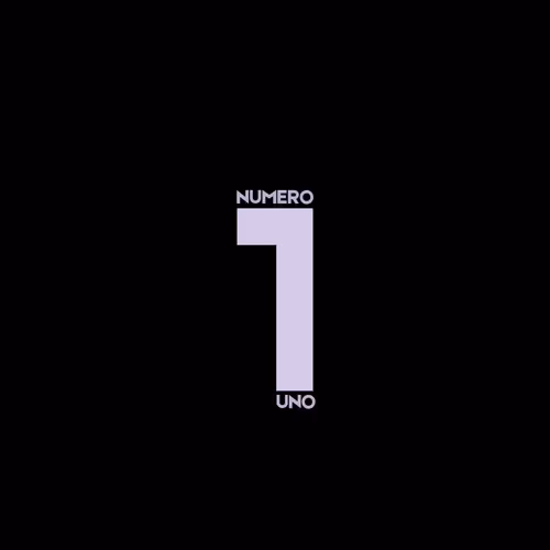 NUMERO UNO