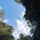 Nature collection!