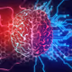 Crypto brain