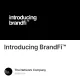 Introducing BrandFi™