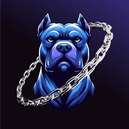 $onchain X Doginme Special Edition