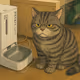 basecat