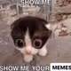 memes