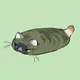 SUSHICAT TASTY CLUB