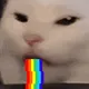 BaseCatte