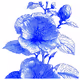 Nature’s Blueprint