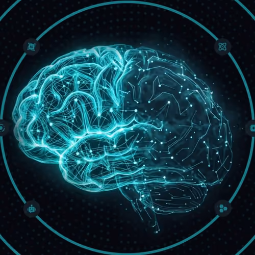 Brain
