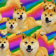 Doge